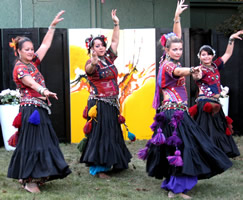 Four Ladies of Devi'Ance Perform